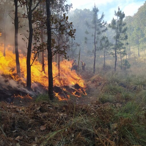 OLD obligations legales debroussaillage risque incendie