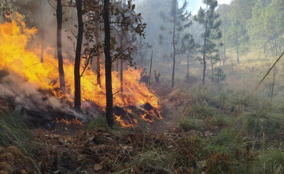 OLD obligations legales debroussaillage risque incendie