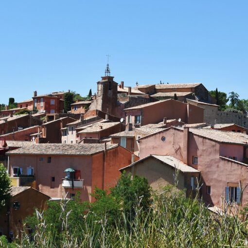 Chantier d'élagage sur recommandation