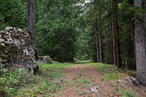 Clarifier_le_terrain