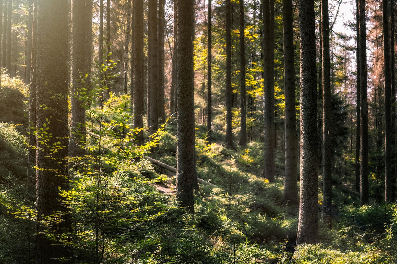 Nettoyer_apres_intervention