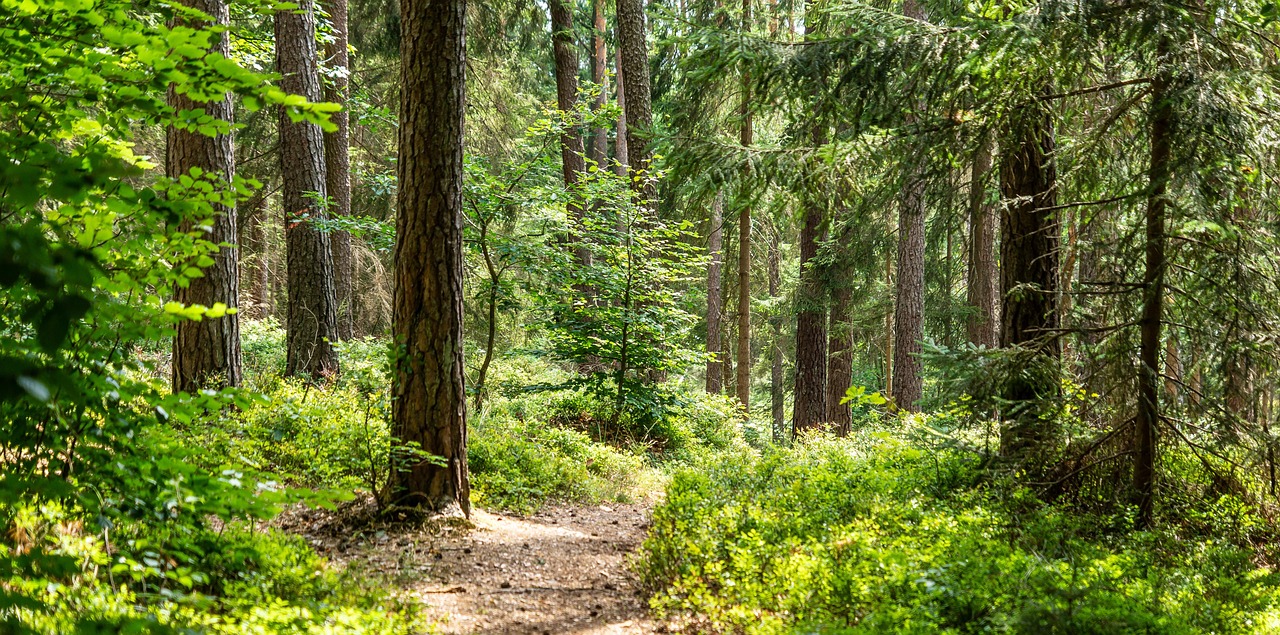 Preparation_terrains_sous_contraintes