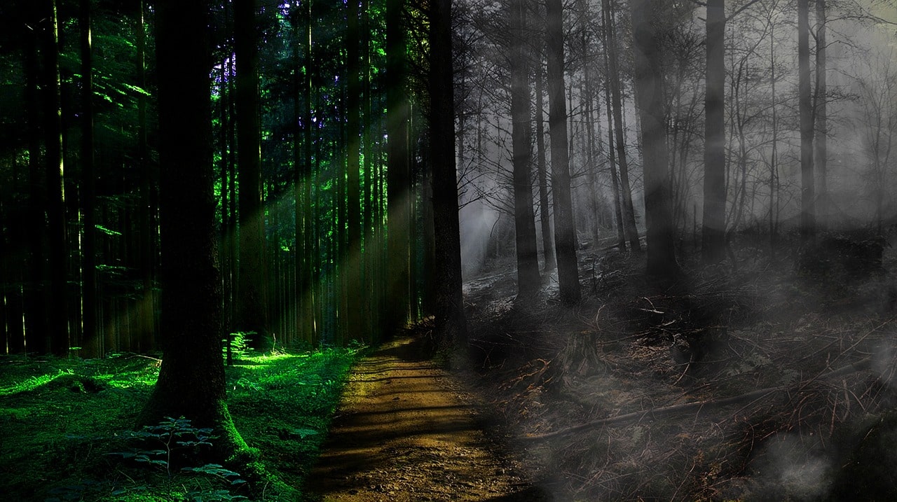 Respecter_terrain_sols_vivant