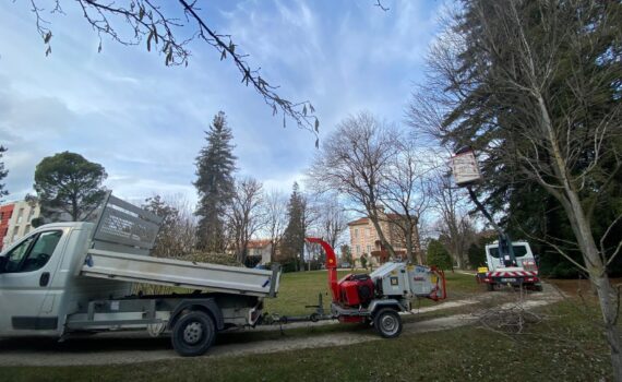 Broyage forestier et gestion des rémanents OLD Aix en Provence