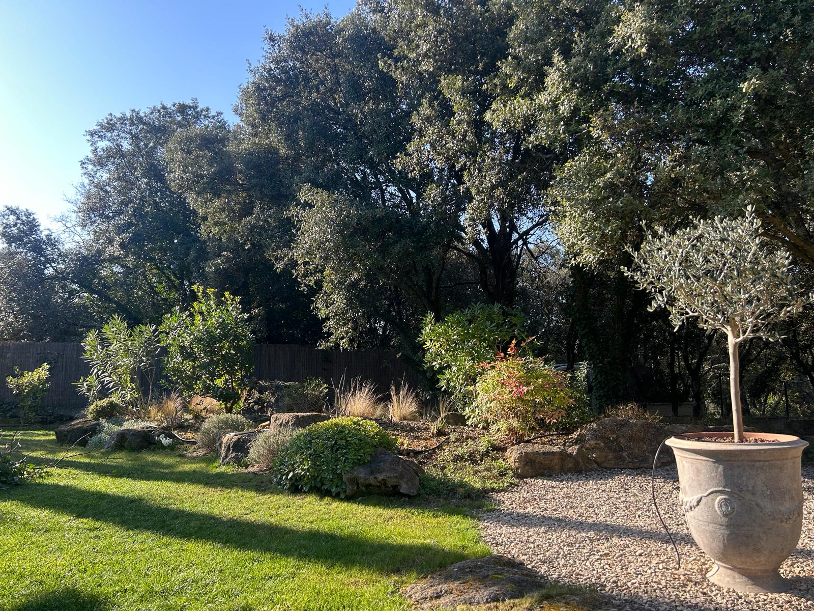 taille oliviers elagage chenes