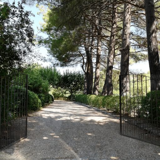 Entretenir parc arboré