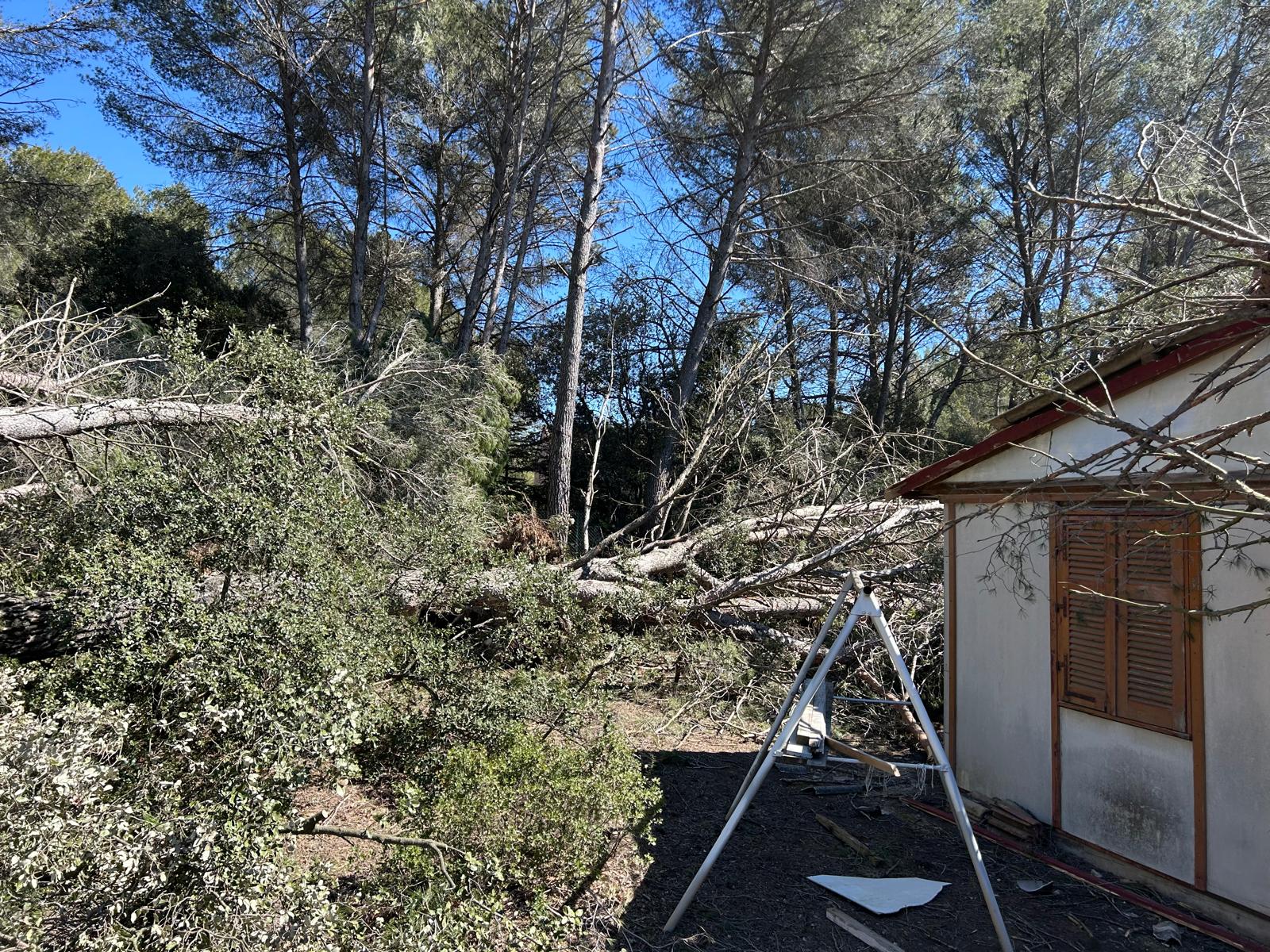 Arbre_tombe_sur_toiture_suite_tempete_eguille
