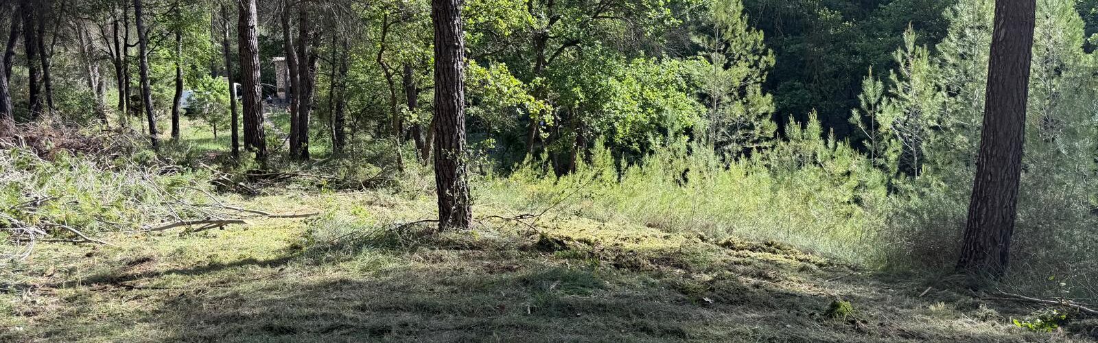 Débroussailler pour préparer un terrain